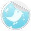 follow me